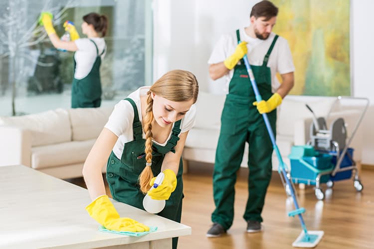 Charming Casa Housekeeping: Creating a Cleaner, Healthier, and Happier Home